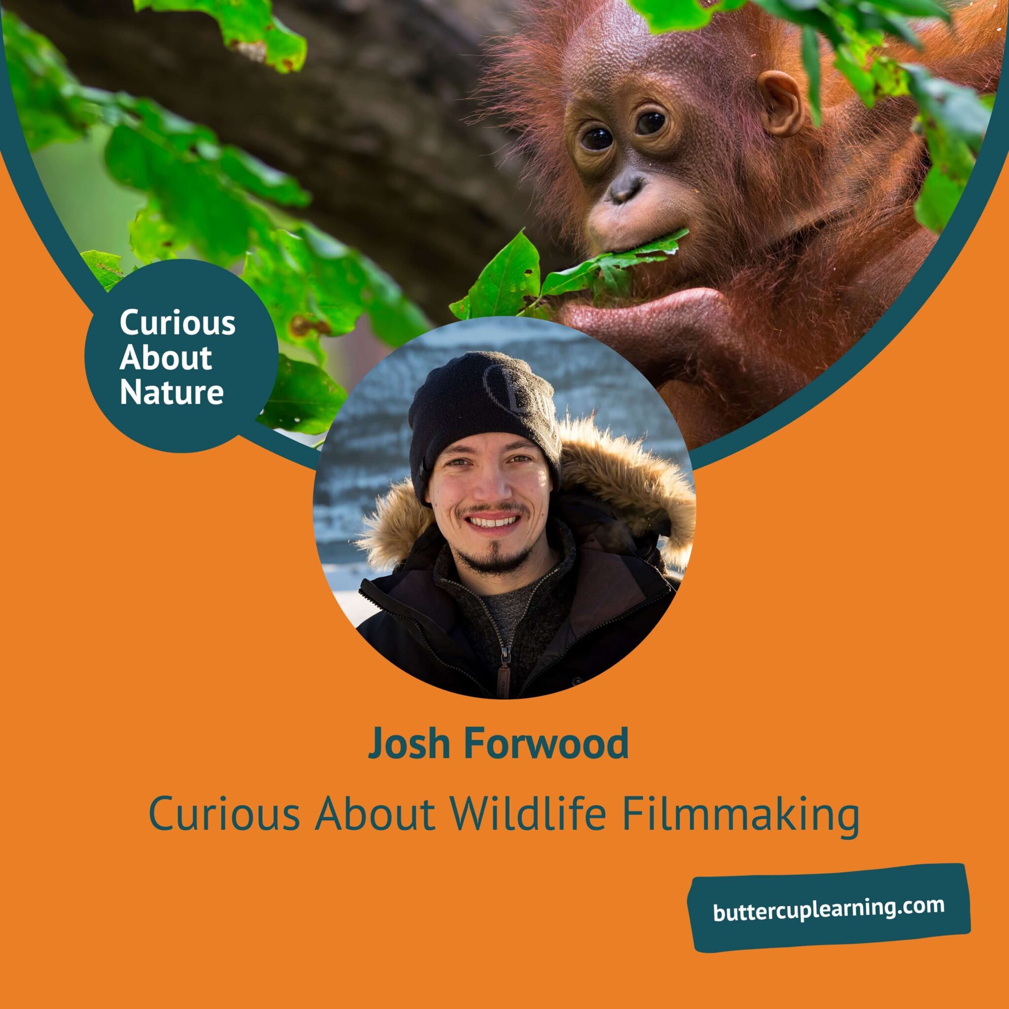 Wildlife Filmmaking Buttercup Learning wildlife-filmmaking-buttercup-learning