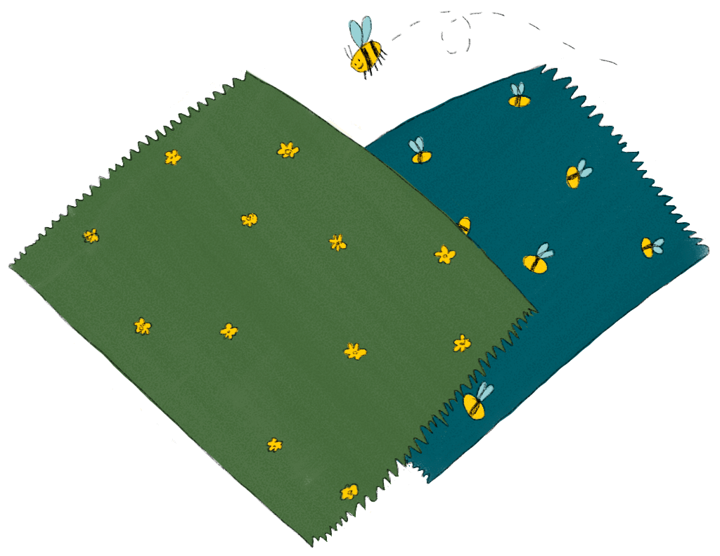 bees wax wraps illustration