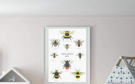 bee poster