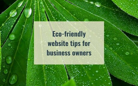 graphic reads: Eco-friendly website tips for business owners